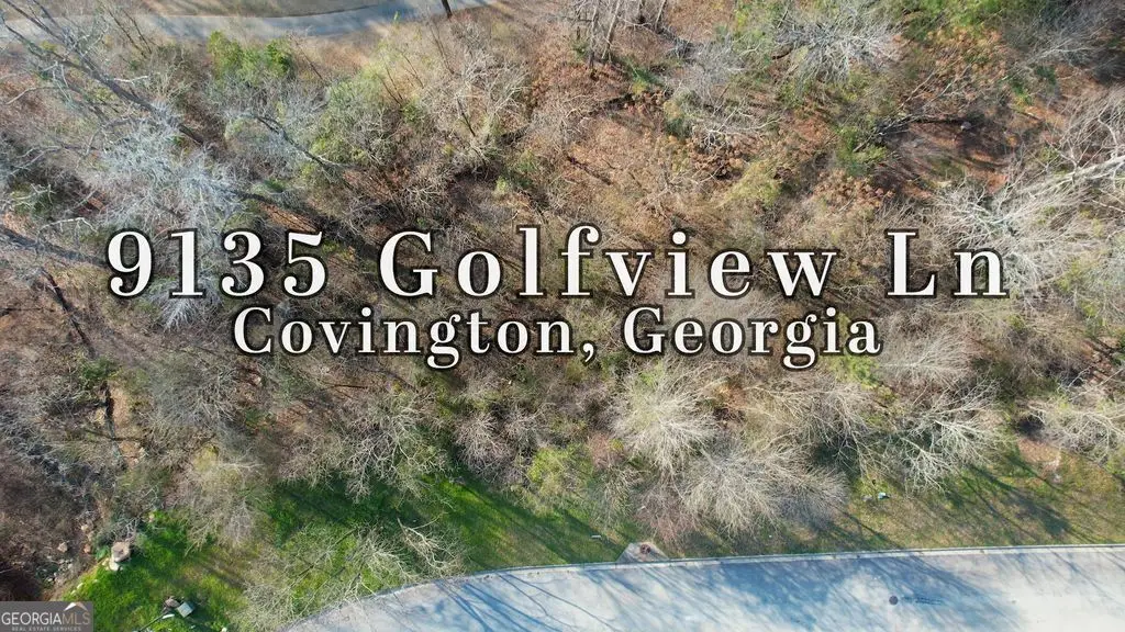 9135 Golfview Lane, Covington, GA 30014 - #1