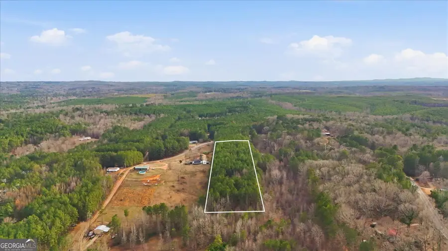 0 Williamson Road, Tallapoosa, GA 30176 - #2