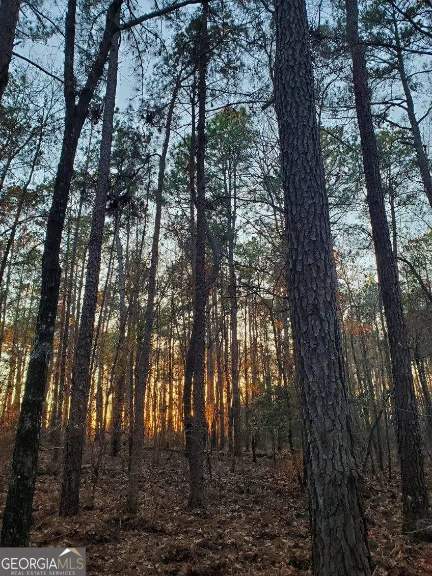 0 Mark Wood Road, Dexter, GA 31019 - #1