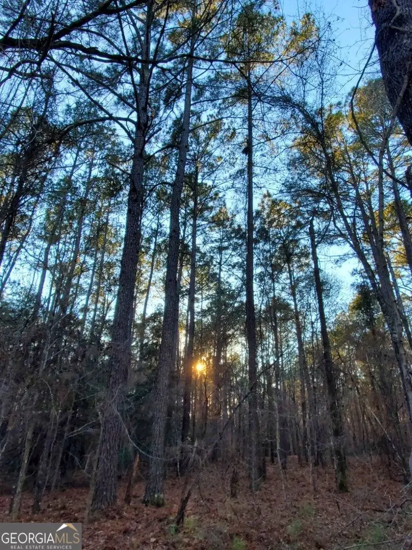 0 Mark Wood Road, Dexter, GA 31019 - #2