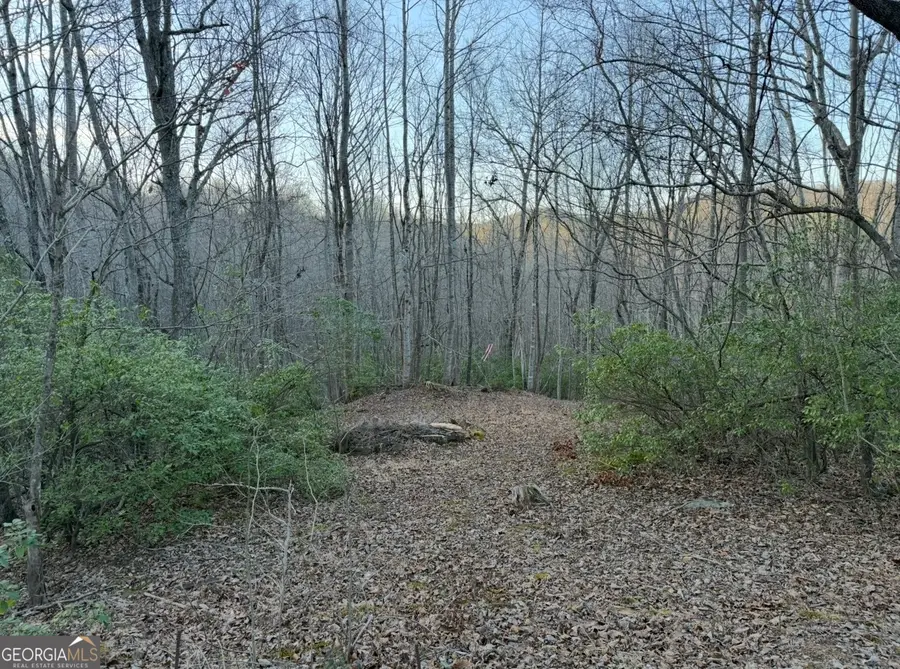 0 Gove, Sautee Nacoochee, GA 30571 - #2