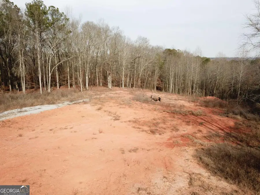 380 Ayers Road, Bowdon, GA 30108 - #3