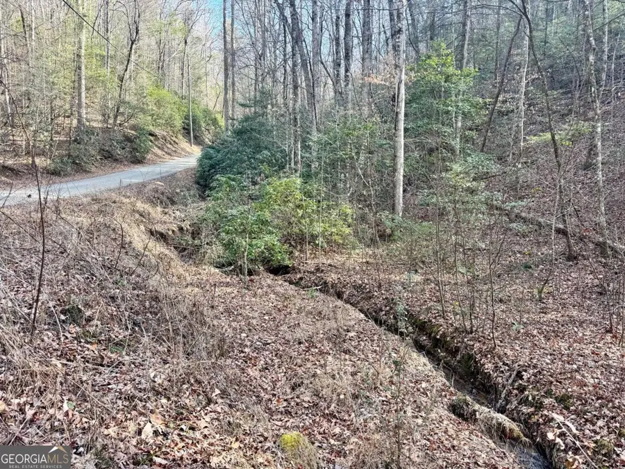 L53 Amy Creek Circle, Ellijay, GA 30540 - #3