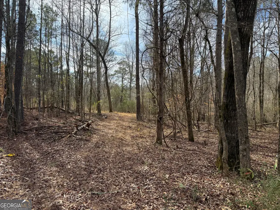 4.5 ACRES Whatley Road N, Lagrange, GA 30240 - #3