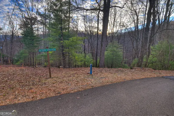LT M57 Walnut Mountain Court, Ellijay, GA 30536