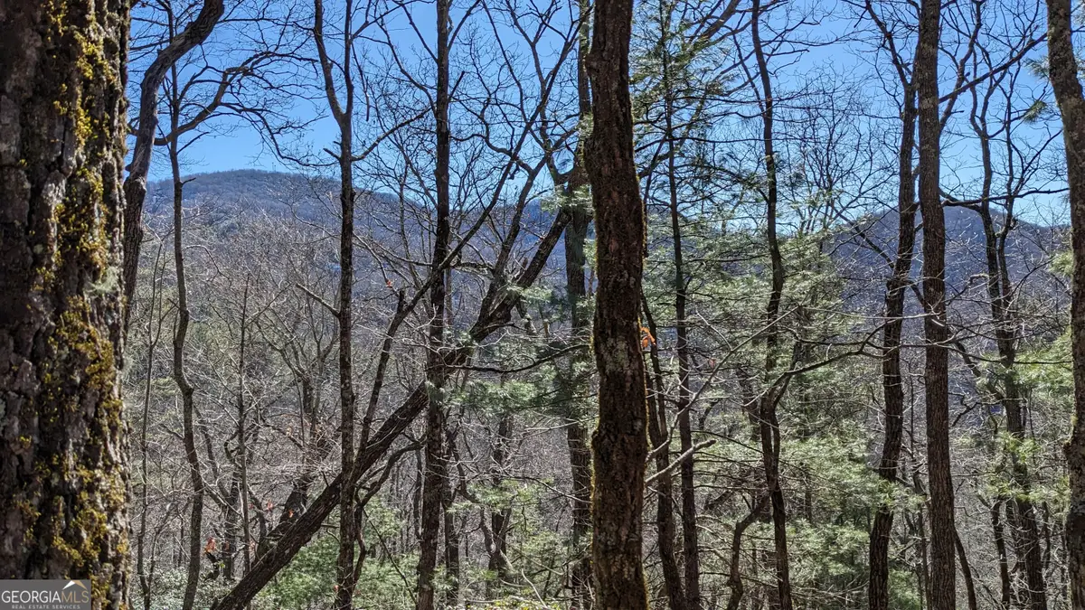 0 LOT 111 Ridgepole Drive, Sky Valley, GA 30537 - #1