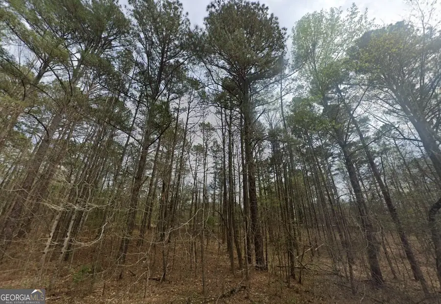 4600 Ga Highway 34, Franklin, GA 30217 - #2