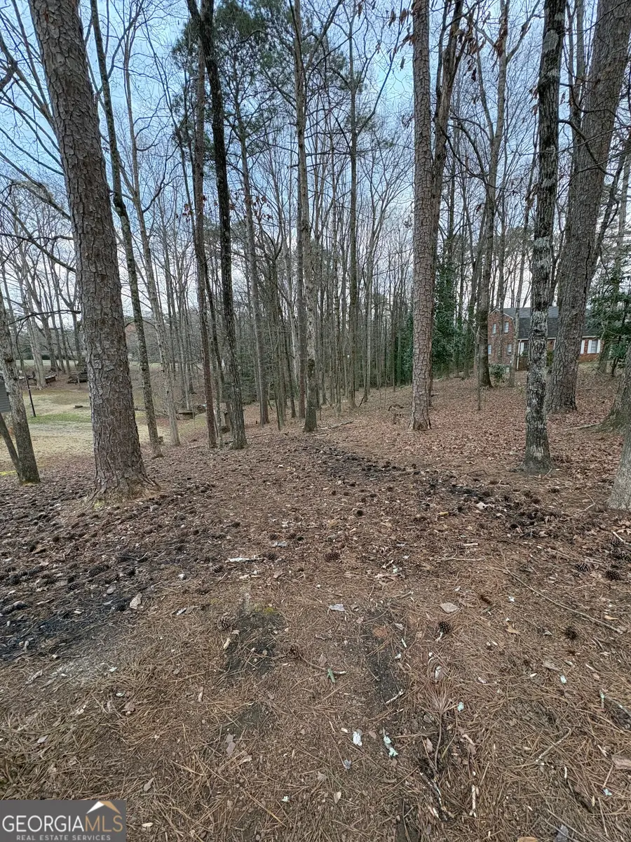 0 Azalea Drive, Fairburn, GA 30213 - #3