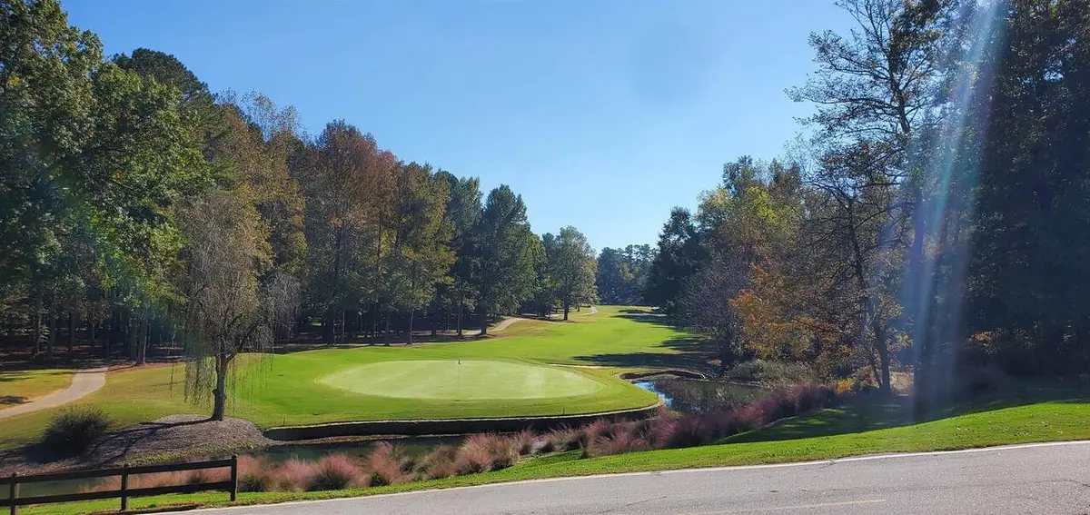 1720 Club Drive, Greensboro, GA 30642 - #1