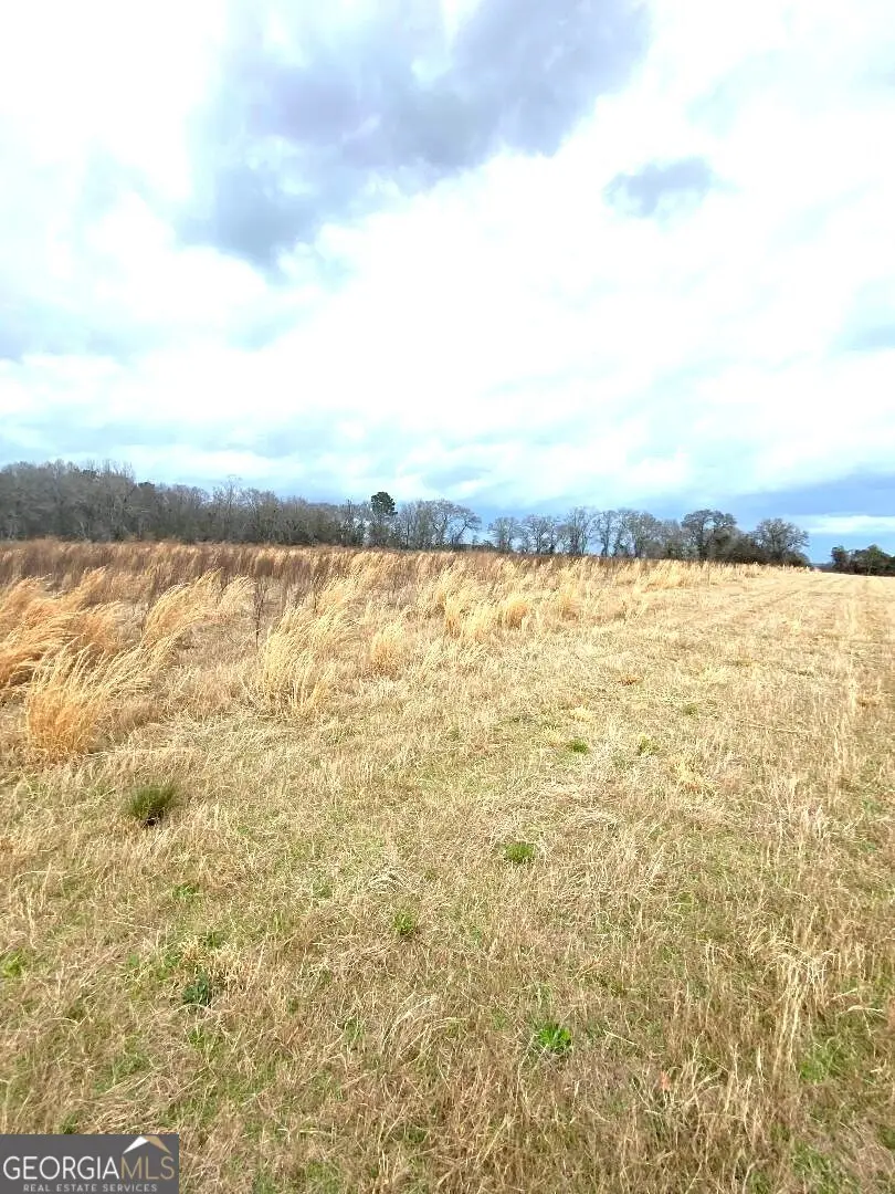 0 Allen Ranch Road, Chester, GA 31012 - #2