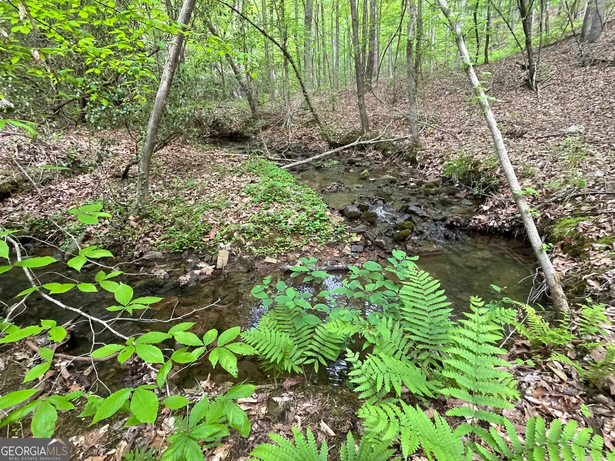 0 Everett Springs Road, Armuchee, GA 30105 - #1