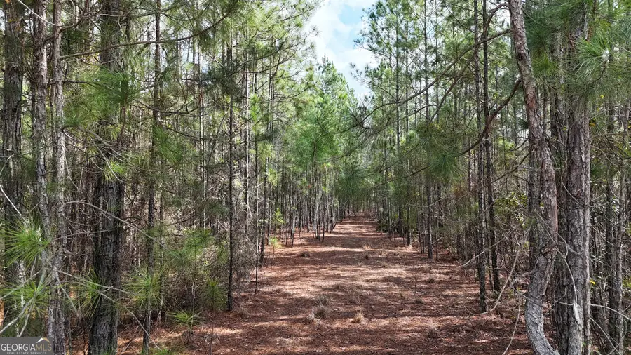 75 Lila Lane, Pembroke, GA 31321 - #3