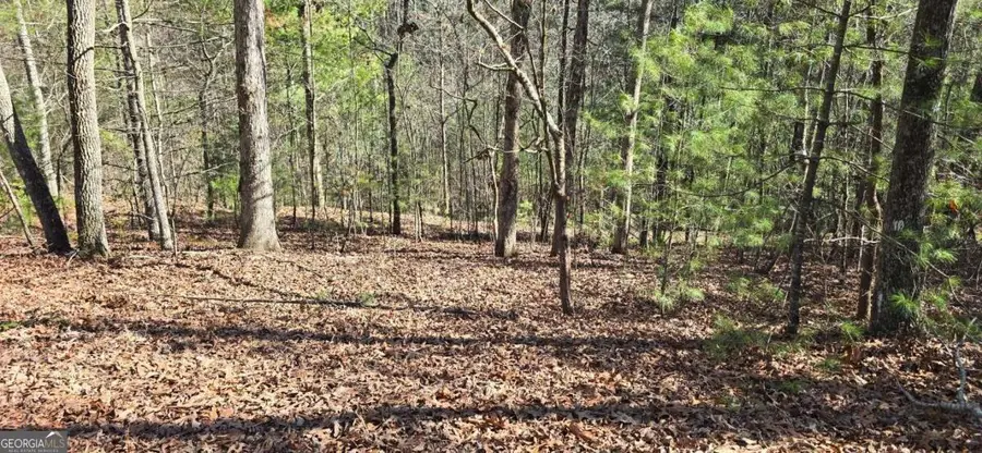 LOT 12 Oak Loop #12, Mineral Bluff, GA 30559 - #3