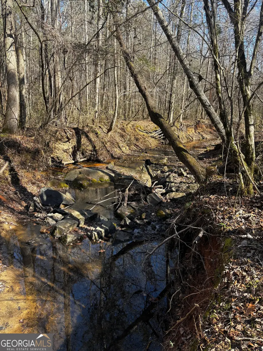 0 Thaxton Rd, Rayle, GA 30660 - #2