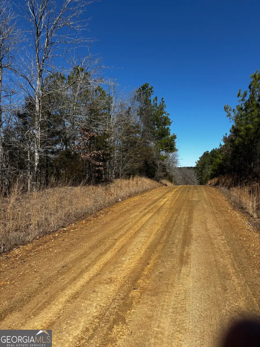 0 Thaxton Rd, Rayle, GA 30660 - #3