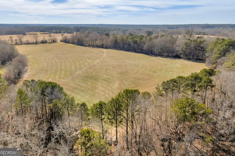 1681 Sibley School Road, Greensboro, GA 30642 - #2