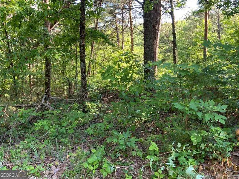 1335 Birch Lane, Ranger, GA 30734 - #2