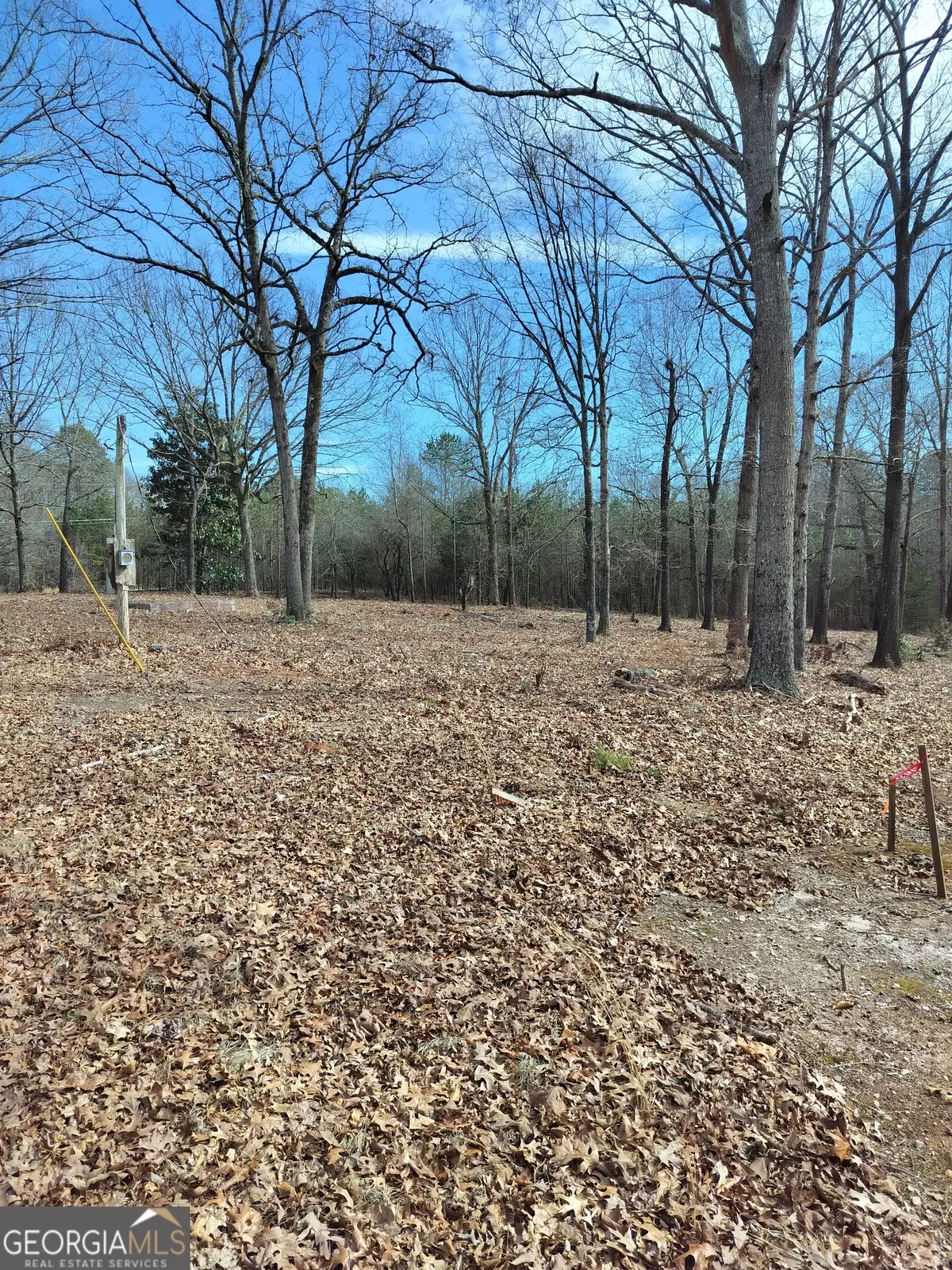 0 Hickory Log Circle, Eastanollee, GA 30538 - #1