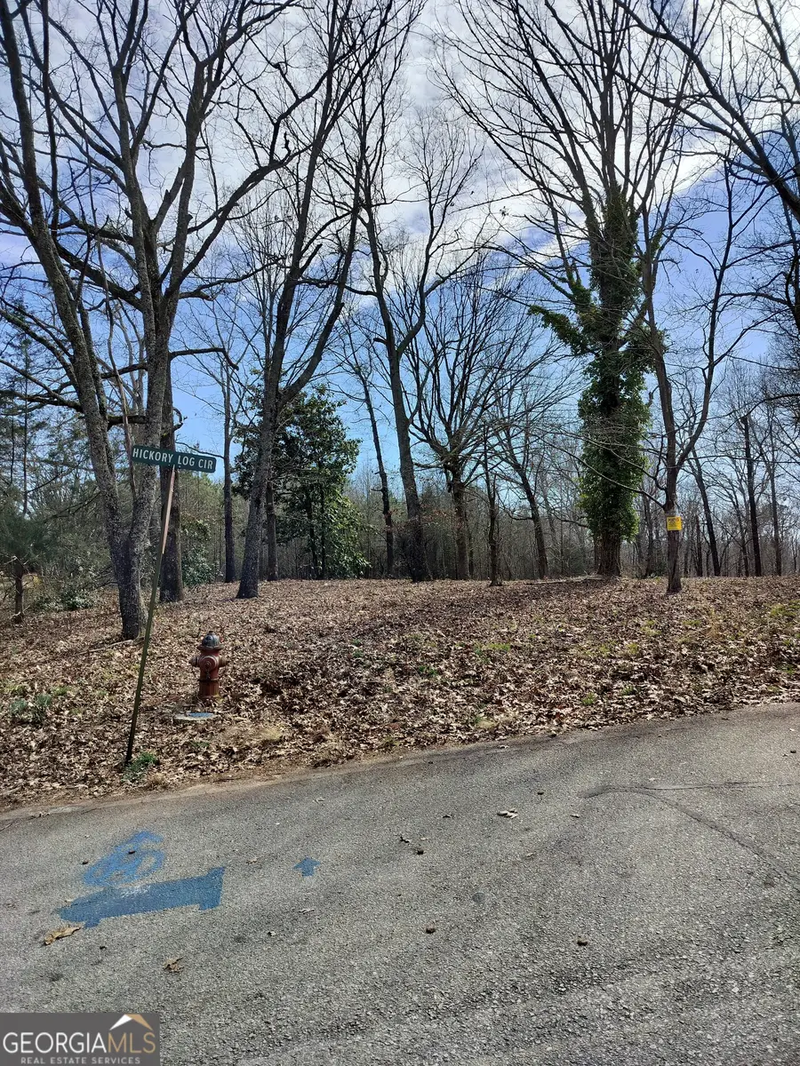 0 Hickory Log Circle, Eastanollee, GA 30538 - #2