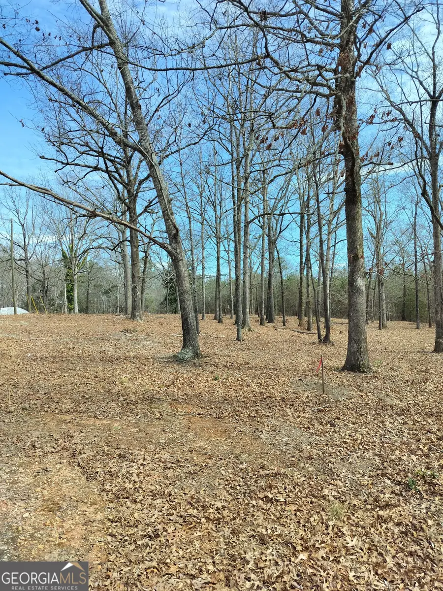 0 Hickory Log Circle, Eastanollee, GA 30538 - #2