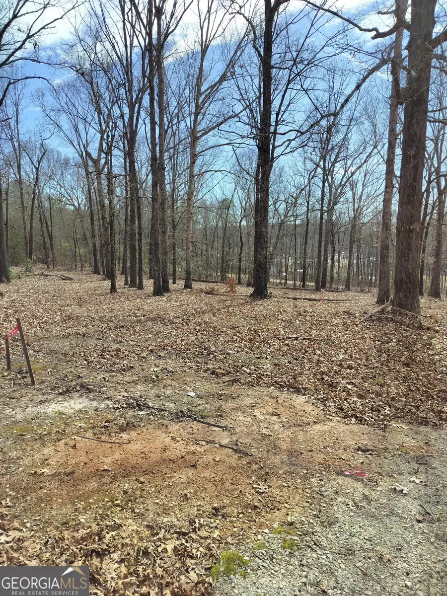 0 Hickory Log Circle, Eastanollee, GA 30538 - #3