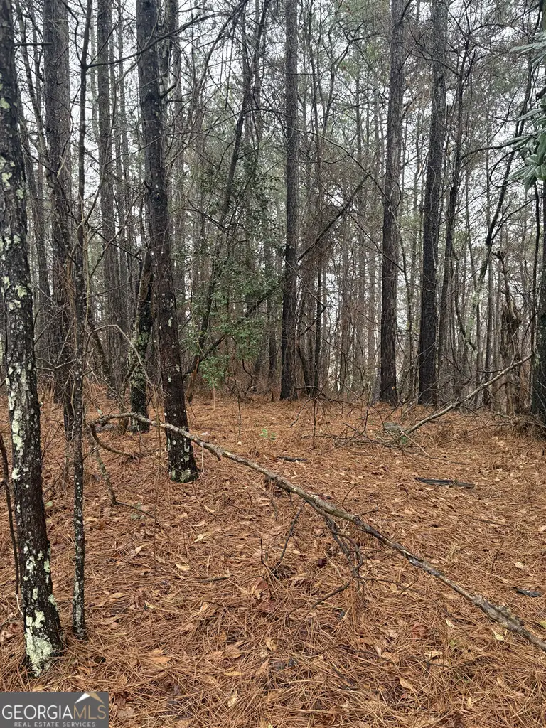 1205 Alcovy Ridge Drive, Loganville, GA 30052 - #2