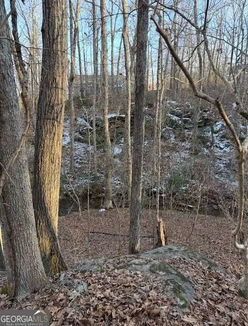 5255 Red Hawk Drive, Gainesville, GA 30507 - #3