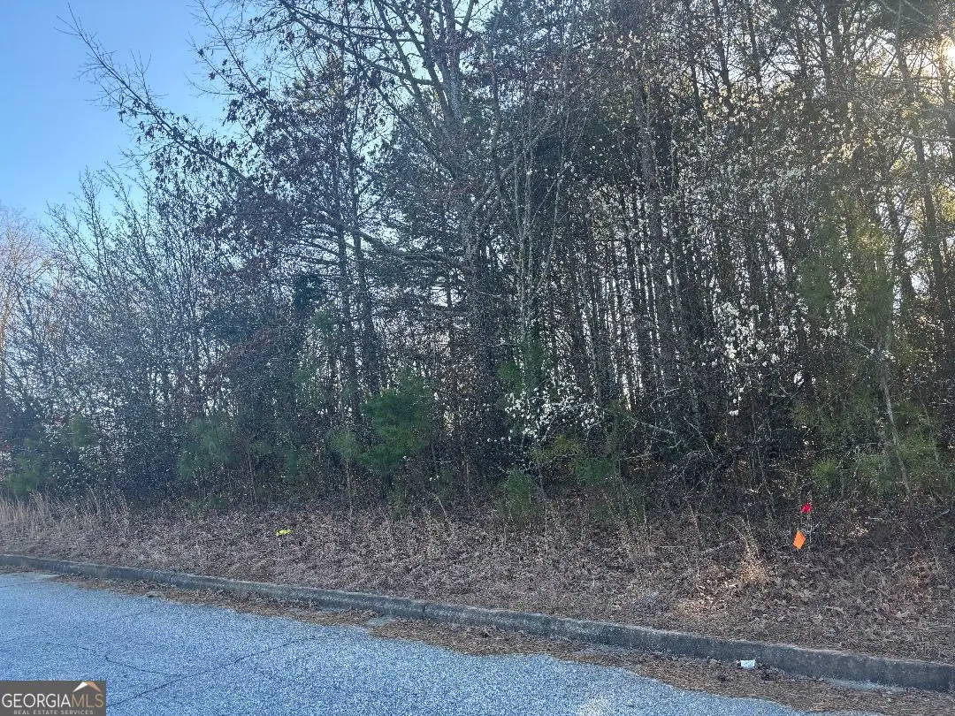 2515 Eastgate Place, Snellville, GA 30078 - #1