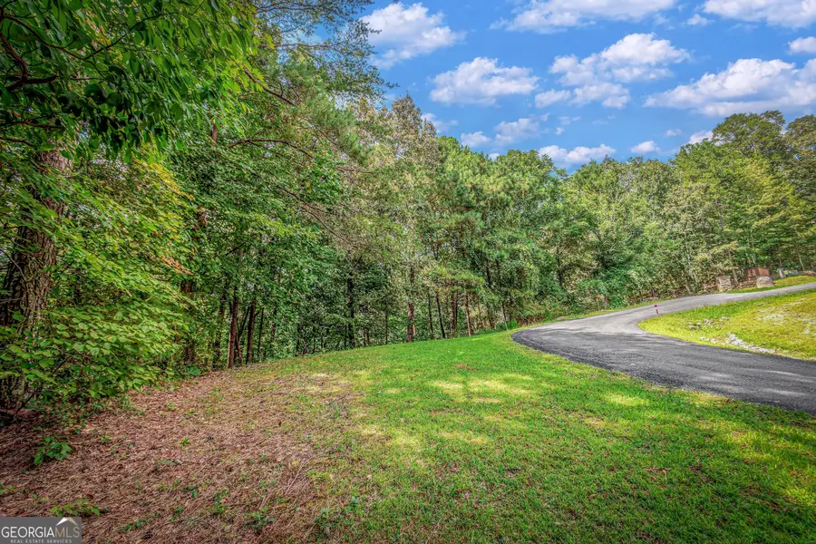 LOT 104 Mountain Creek Hollow Drive, Talking Rock, GA 30175 - #2