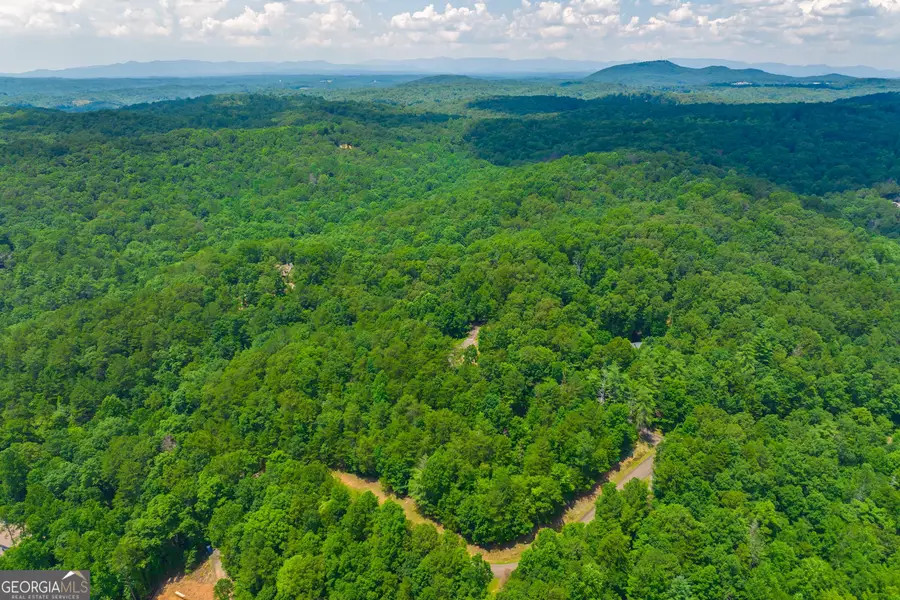LOT 104 Mountain Creek Hollow Drive, Talking Rock, GA 30175 - #3