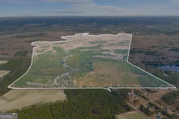 1000 Old River Road S, Brooklet, GA 30415