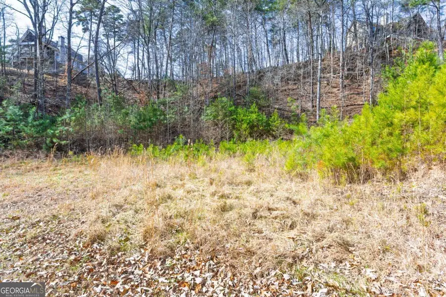 53 Somerset Lane, Cartersville, GA 30121 - #3