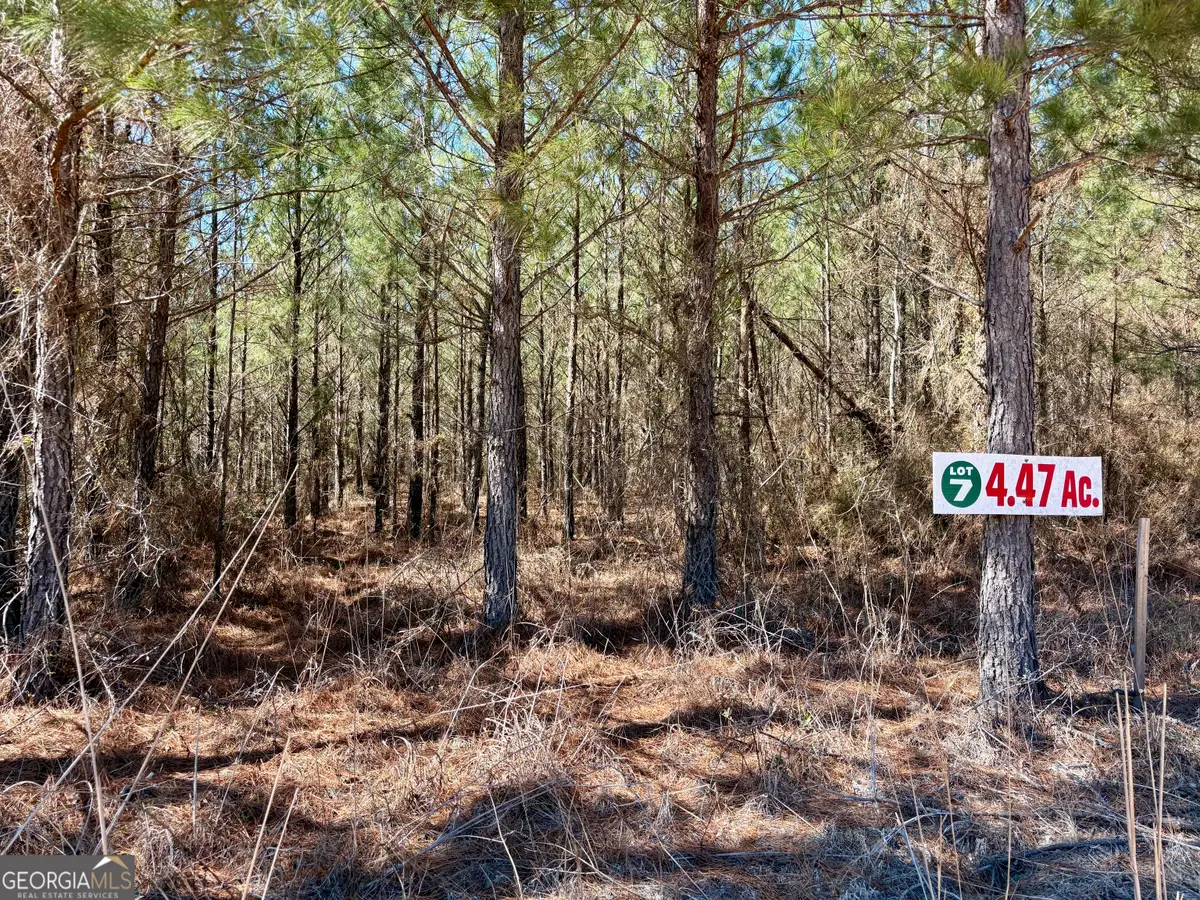 0 Rock Springs Road, Glenwood, GA 30428 - #1