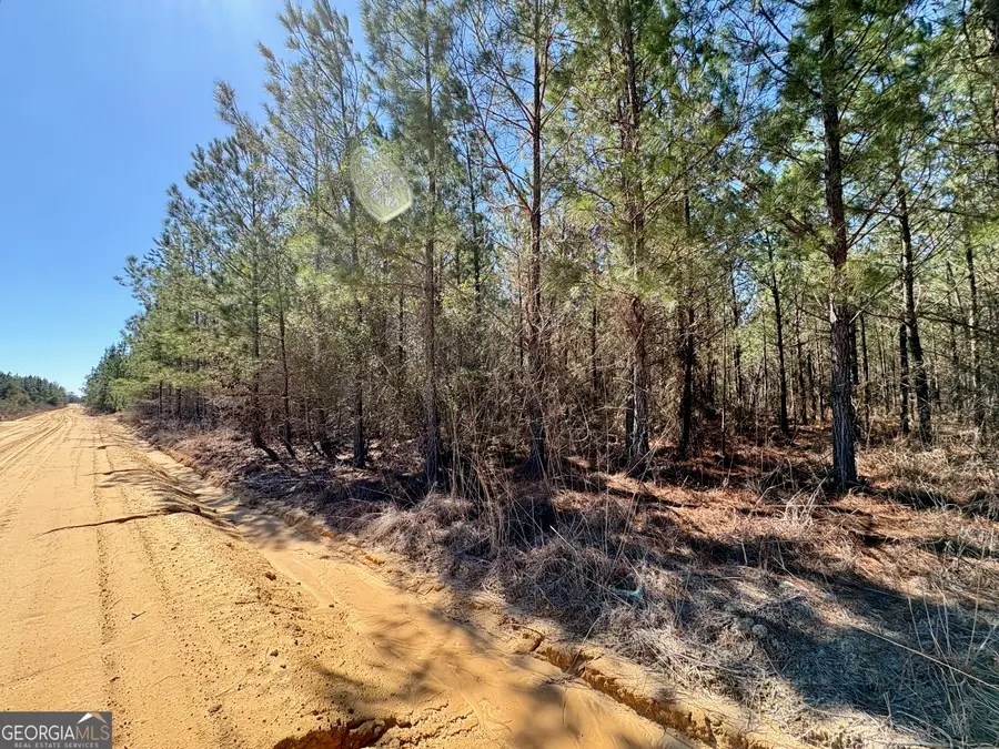 0 Rock Springs Road, Glenwood, GA 30428 - #2