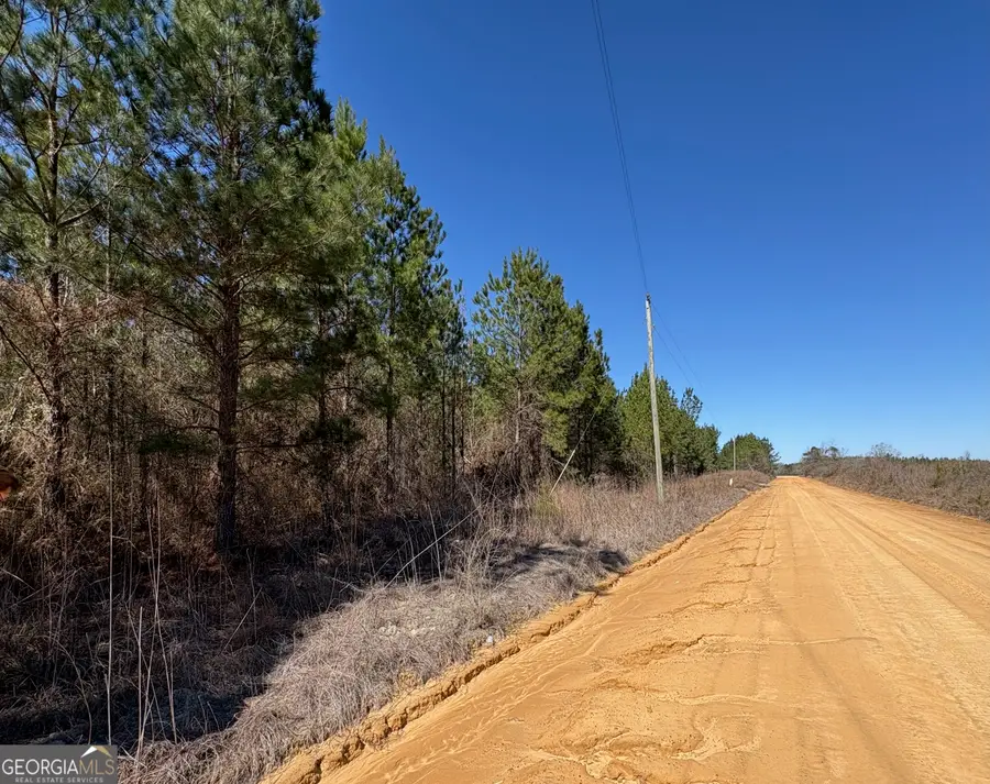 0 Rock Springs Road, Glenwood, GA 30428 - #3