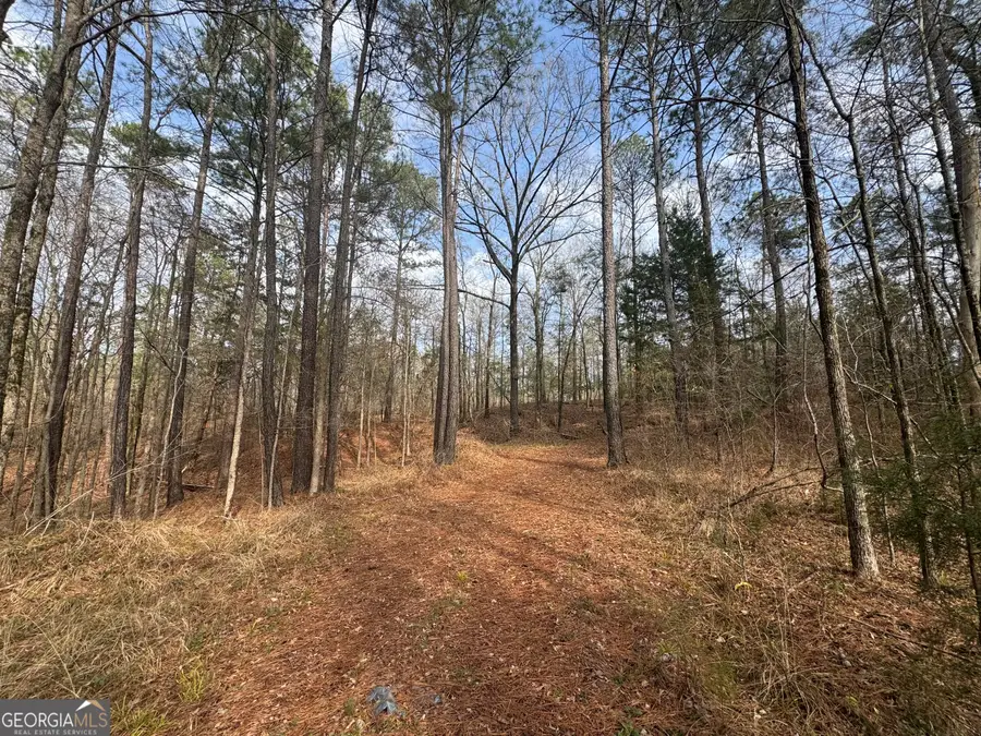 0 Highway 87, Juliette, GA 31046 - #2