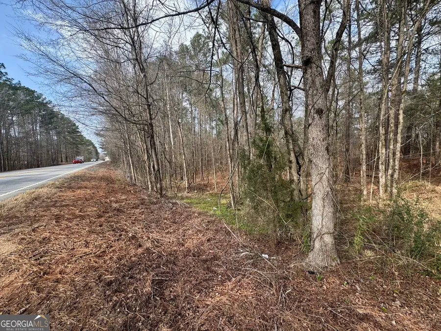 0 Highway 87, Juliette, GA 31046 - #3