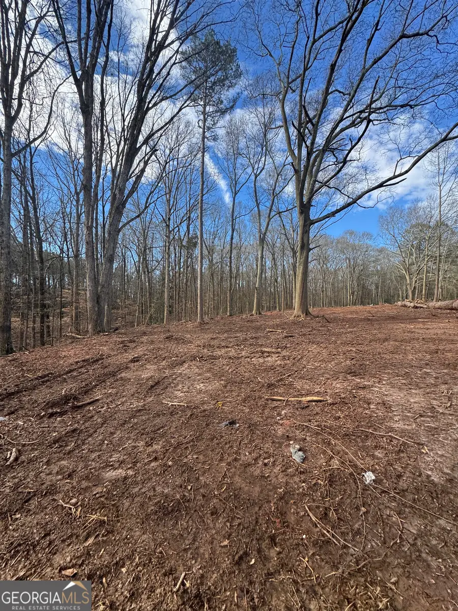 260 Roosevelt Circle, Bowman, GA 30624 - #3