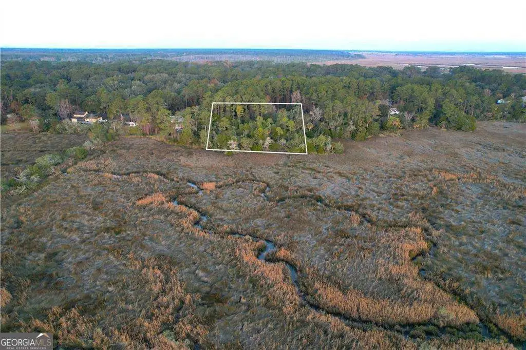 81 Marsh Oak Drive, Brunswick, GA 31525 - #1