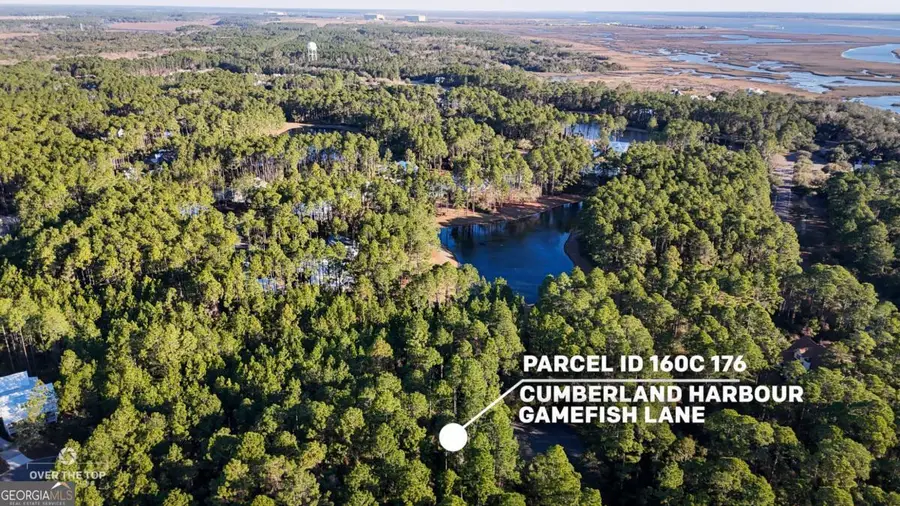V/L 176 Gamefish Lane, Saint Marys, GA 31558 - #2