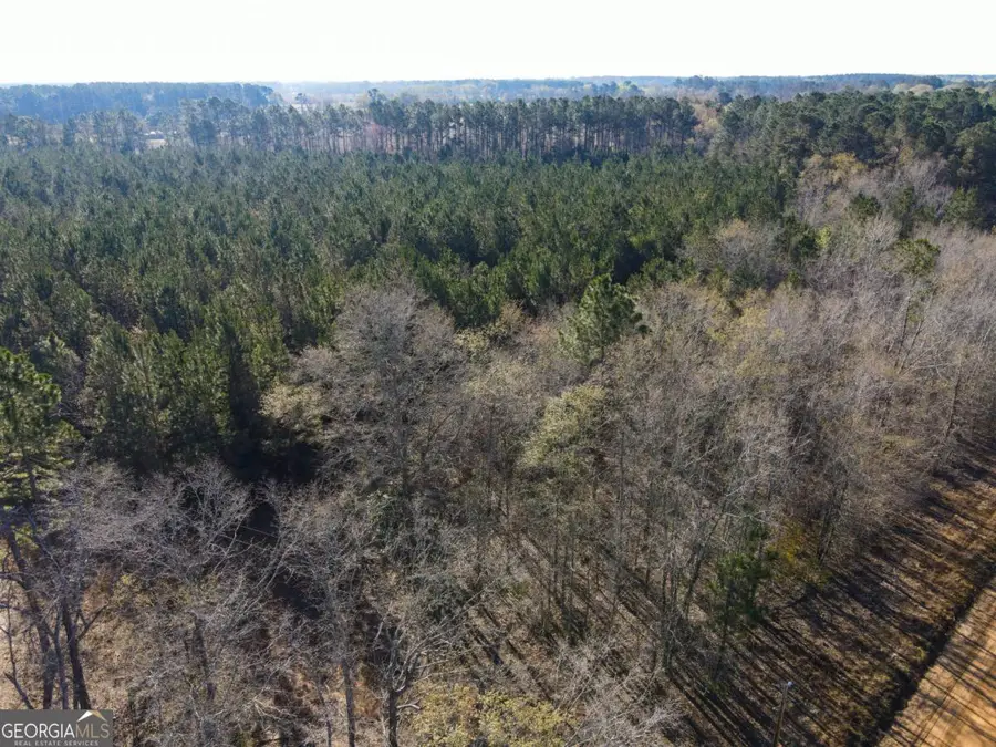 0 Clifton Road, Statesboro, GA 30458 - #2