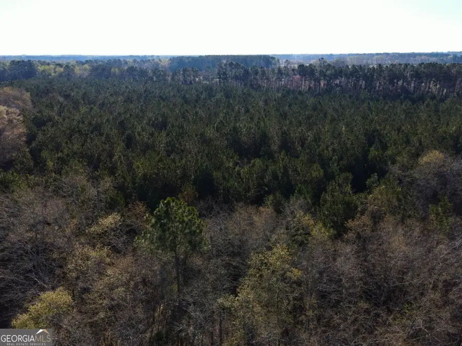 0 Clifton Road, Statesboro, GA 30458 - #3