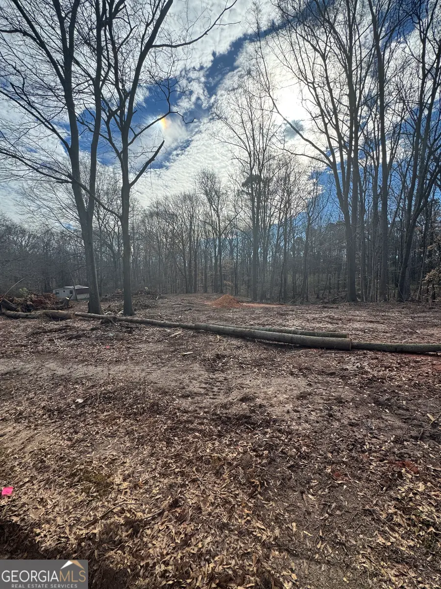 231 Roosevelt Circle, Bowman, GA 30624 - #2