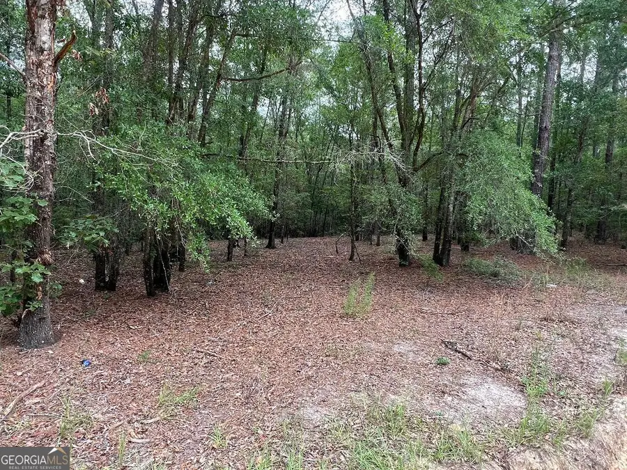 LOT 26 Lane Road, Statesboro, GA 30461 - #2