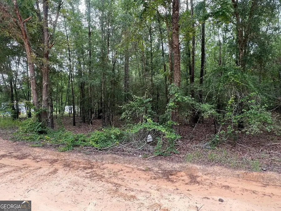 LOT 26 Lane Road, Statesboro, GA 30461 - #3