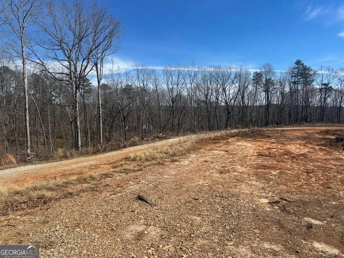 1305 Lawrence Road, Dawsonville, GA 30534 - #1