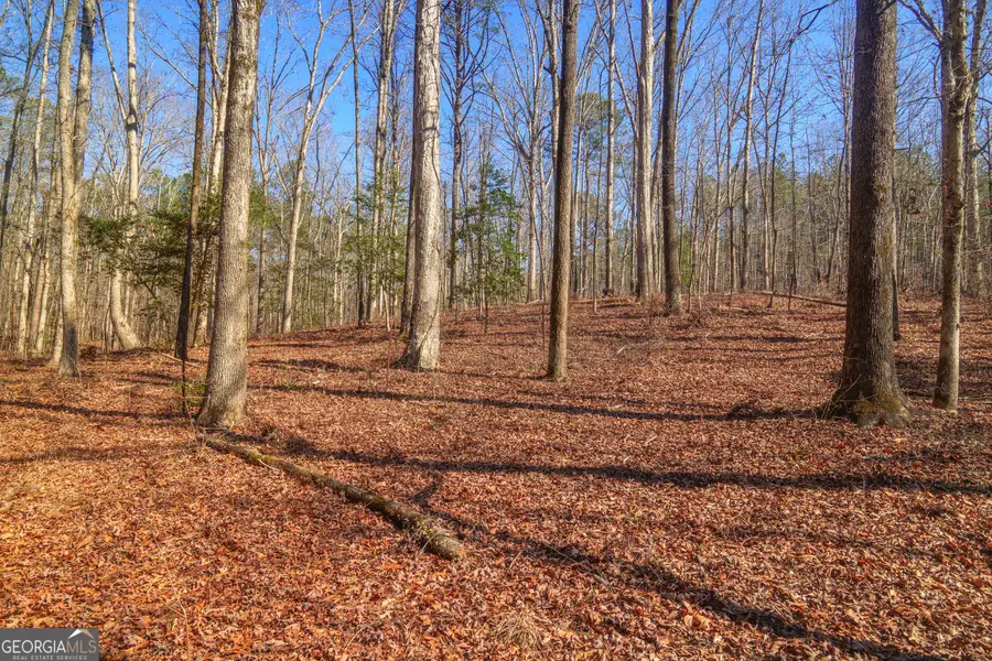 0 Hyannis Drive, Jackson, GA 30233 - #3