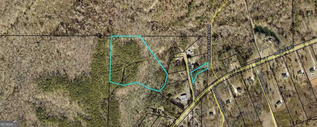 0 George Arnold Road, Newnan, GA 30263 - #1