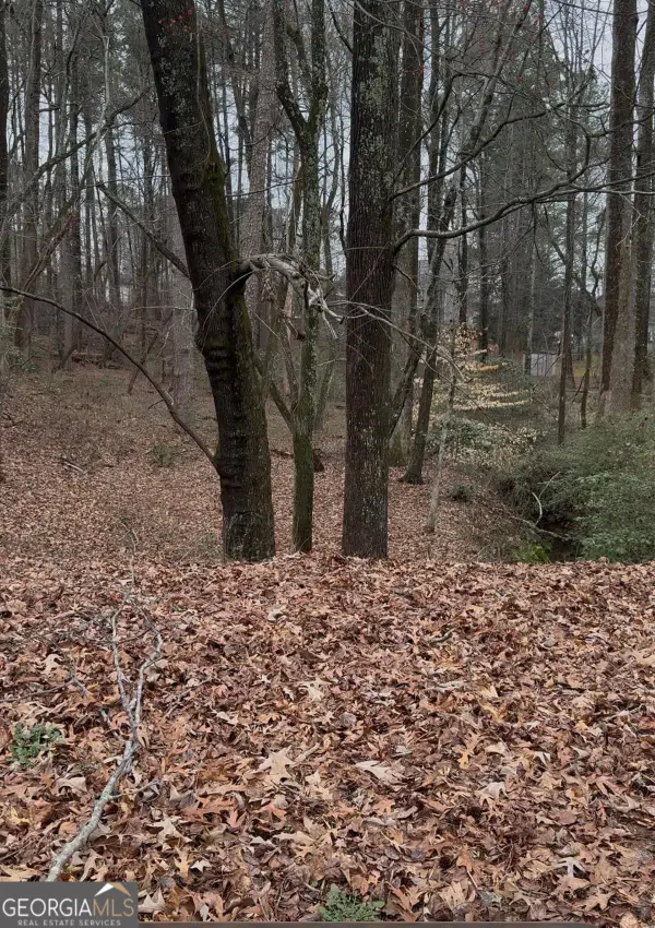 3262 Camens Way, Buford, GA 30519