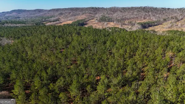 0 Gaylor Road, Lyerly, GA 30730